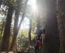 遠隔波動リーディングとメッセージをお伝えします (占いではありません)心揺れる時、癒しの波動が届きますように イメージ2