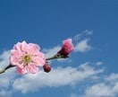 10年後も健康に！【中医学的体質】診断します 薬剤師が、あなたにあった養生法をアドバイスします イメージ3