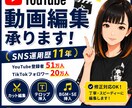 お急ぎでもOKです!動画編集承ります YouTube登録者51万人の運営経験!修正依頼もOKです! イメージ1