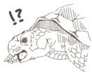 ご希望に沿ったアイコン用イラストを作成します ーゆるめの手書き風アイコン（人物，動物，キャラクター）ー イメージ4