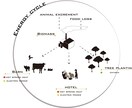 ハイクオリティのフライヤー作成致します 唯一無二のデザインをご提案させていただきます。 イメージ2