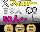 Xの日本人リアルフォロワーを増やします x(Twitter)リアルフォロワー★+50~1万人まで増加 イメージ1