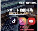 バズりやすいショート動画を編集します SNS運用実績あり。縦型動画専門 イメージ1