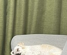 好きに話をしてください。聞き役屋さんします 聞きます。ただ、ただ聞きます。 イメージ1