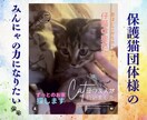 30日間インスタ運用代行いたします オーダーメイドでアカウントの雰囲気をしっかり作りましょう！ イメージ8