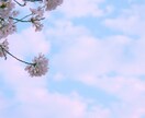 ゆっくり⭐️あなたのお話お聞きします ⭐️雑談/話し相手/愚痴/暇つぶし/疑問/相談/悩み⭐️ イメージ5
