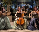 60分♬プロ奏者によるオンラインレッスンします ♬全国どこからでもレッスン可能！フルートで人生を豊かに イメージ3