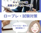 キャリコン・産業カウンセラーのロープレします キャリコン技能士2級があなたの良さを伸ばすフィードバック！！ イメージ1