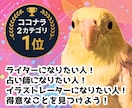 オカメインコが1サービス限定ココナラコンサルします ライターで占い師でイラストレーター！実体験に基づいたコンサル イメージ1