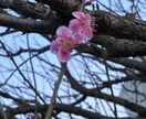 愚痴をずっと聴きます 愚痴聴き屋します。こんな世の中吐き出したい事山ほどあるはず。 イメージ3