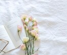 1ヶ月あなたの継続したい勉強を応援します 1人では挫折してしまいそうな勉強の継続一緒にがんばりましょう イメージ1