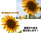 画像切り抜き＆レタッチいたします Photoshopを使って行います♪ イメージ1