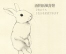 シンプル 鉛筆 線画｜写真から似顔絵描きます 手描きの優しい線画。お好きな色を２色まで。 イメージ4