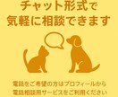 ペットの悩み相談「なんでも」お伺いします 動物病院でモヤモヤがあるあなたに”納得”をお届けします イメージ3