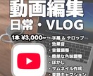 YouTube 日常・VLOG系の動画編集をします カット・BGM・ぼかし・英語字幕対応！ イメージ1