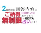 ご納得いただけるまで無制限で深掘り占いします 結果に対する深堀り質問を無制限で見させてもらいます！ イメージ3