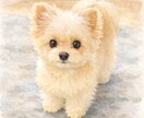 愛犬、ワンちゃん用に！ペットイラストをお描きします 芸大卒イラストレーターがご希望通りにお描きします イメージ6
