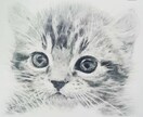 ペットの似顔絵描きます 手書き、ペットの記念イラストいかがですか？ イメージ5