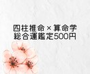 500円で四柱推命×算命学で総合運を占います 気軽に試せる総合運のワンコイン占い イメージ1