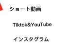 YouTubeTiktok 動画編集ます 動画編集を責任持って最後します決まった日に出すようにします イメージ1