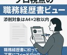 プロ視点の職務経歴書レビューします 採用側目線で改善点をフィードバック！ イメージ1
