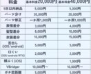 先着20％引き！Vtuber全工程制作いたします リテイク無制限！キービジュ、三面図、ロゴ制作まで承ります！ イメージ4