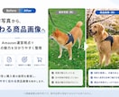 売れるAmazon商品画像を制作しますます 日本市場向けの商品画像を制作します イメージ3