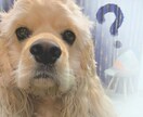 無理しない心のクリーニング賜ります 考え方の法則から導いた心のクリーニングのアドバイスを致します イメージ1