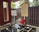 あなたの本音と進む道を読み解きます 鑑定実績 800名以上 | 恋愛・人間関係が得意 イメージ3