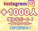 Instagramフォロワー1000人増やします ☆複数アカウント振り分け可能！☆ イメージ1