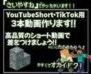 2月1日まで”最低価格”でショート動画の編集します ゲーム実況ショート動画を最低価格かつ最高品質でお届け致します イメージ1