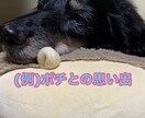 旅行の写真やムービーを一本の動画にまとめます 色々な思い出を一本の動画にまとめます! イメージ1