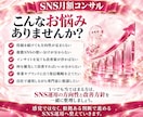SNSの戦略・分析・改善を月額コンサルします 30日間SNS戦略支援｜最大2媒体・相談2回・分析レポート付 イメージ5
