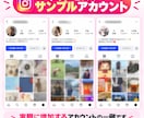 インスタ日本人フォロワー500人を格安で増やします ココナラ参入記念商品｜超格安＆増加確約｜期間限定の割引価格 イメージ3