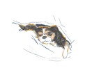 ゆるいタッチで大切なペットのイラスト描きます 大事なペットのイラストを、心を込めて描きます！ イメージ5