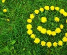 パートナーから愛される現実を引き寄せます 話しづらいご相談でも大丈夫です✩.*˚ イメージ5