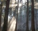 あなたの心に寄り添いどんなお話でもお聞きします 不安、悲しみ、苛立ち、疲れが消えていくことでしょう。 イメージ1