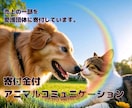 寄付金付アニマルコミュニケーション致します おうちの動物さんに聞きたい事はありませんか？ イメージ1