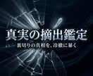 あの方の嘘の正体を聴き取る「深淵診断」をいたします 喉に刺さった嘘を抜く。「不協和音」を聴き取り、真実を摘出 イメージ1