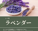 SNSの投稿・広告投稿用画像作成します アイキャッチな動くサムネイルも作成可能！ イメージ5