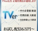 正規代理店が運用 TVer広告 お試しできます 6万円から配信可能 期間限定(2027/3迄)の大サービス イメージ1