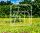心から楽しい嬉しい。という気持ち思い出させます 引き寄せの法則　楽しい嬉しい。のブロックを外す画像。おまけ付 イメージ3