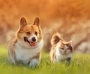ペットロス大切な家族を亡くした悲しみを共に抱えます ペットロス/喪失感/犬/猫/動物/家族/ペット/別れ/死 イメージ10