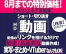 8月まで特別価格！企業編集者が刺さる動を画作ります 格安3000円から！推しへの誕プレやリーチ拡大に貢献！ イメージ1