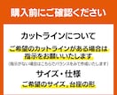 アクリルスタンドの入稿データ作成します 初めてでも安心！印刷所にそのまま入稿できるデータを作成します イメージ4
