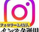フォロワー3.4万人のプロが"インスタ運用"します あなたの理想のアカウントへ運用します！ イメージ1