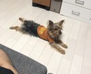 逆立ちの簡単なコツと練習方法を教えます ブレイクダンス経験活かして逆立ちを教えます(^^) イメージ1