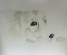似顔絵を鉛筆で描きます アイコン、プレゼント、お祝いに是非ご検討ください！ イメージ9
