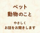 ペット・動物への想いをやさしくお聞きします ペット（ロス）・野良・保護活動・家畜動物への想い イメージ1