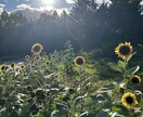 風景や食べ物の写真素材提供します うまく写真が取れなくて困ってる方におすすめ！ イメージ6